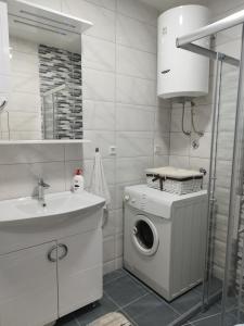 y baño con lavadora y lavamanos. en Apartman Sandi, en Novi Travnik