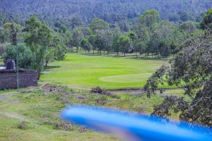 a view of the green at a golf course at Milimani Apartment Nakuru Comfy Homestays in Nakuru