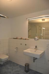 ユリウスルーにあるFerienwohnung Blaubärstrandのバスルーム(洗面台、トイレ、鏡付)