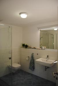ユリウスルーにあるFerienwohnung Blaubärstrandのバスルーム(トイレ、洗面台、鏡付)