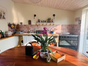 una cocina con una mesa de madera con una planta en La Chambre Rose-Maison Searle à Tourtour, en Tourtour