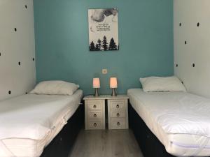 2 camas individuais num quarto com paredes azuis em Veluwe Nature Home - 2-4 persons em Otterlo