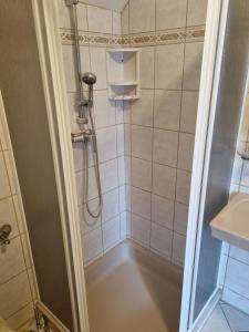 a bathroom with a shower with a sink and a shower at 2 Person Beedroom at Fam Herbst I Thaller in Wagerberg