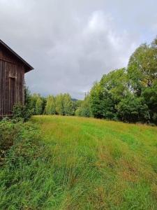 a field of grass with an old barn and trees at Hus i lugn och naturskön miljö in Ockelbo