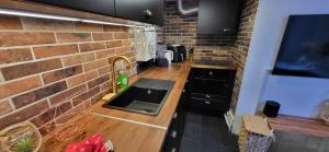 een keuken met een bakstenen muur en een wastafel bij Austerlitz Cocoon in Parijs