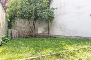 Astonishing 1BR Apt Easy Use Design/Near Schönbrunn外面的花园