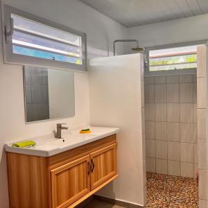 uma casa de banho com um lavatório, um espelho e um chuveiro em Fare Mihiau em Hauru