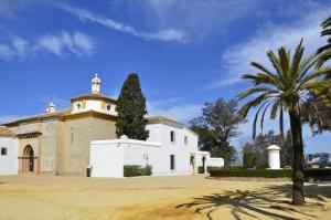 un gran edificio blanco con una palmera delante en Villa Luz Deluxe, en Mazagón
