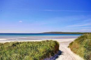 einen Strand mit Sand, Wasser und Gras in der Unterkunft Orkney Retreats 1 2 and 3 bedroom Island Farmhouses & Cottages in Sanday