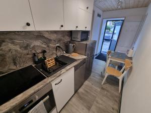 Kuchnia lub aneks kuchenny w obiekcie Apartamenty Salamandra
