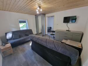 Telewizja i/lub zestaw kina domowego w obiekcie Apartamenty Salamandra