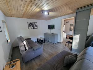 - un salon avec un canapé et une télévision dans l'établissement Apartamenty Salamandra, à Kłodzko