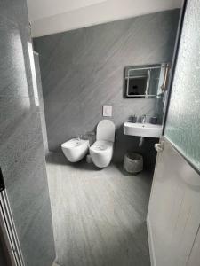 ein Bad mit einem WC und einem Waschbecken in der Unterkunft Hotel Villa Ferrari in Tirana