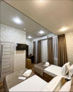 YakkasarayにあるAL ARDA HYATTのベッド2台とテレビが備わるホテルルームです。