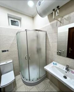 YakkasarayにあるAL ARDA HYATTのバスルーム(シャワー、トイレ、シンク付)