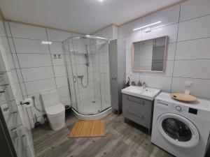 łazienka z prysznicem, umywalką i pralką w obiekcie Apartamenty Salamandra w Kłodzku