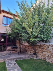 Zahrada ubytování Albergue Gabino