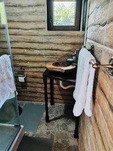 a bathroom with a sink and a wooden wall at Cabana Briana in Valea Drăganului +21 photos