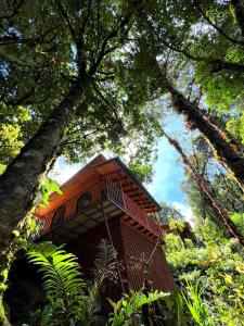 ein kleines Gebäude inmitten einiger Bäume in der Unterkunft Cabaña Anturios in San José