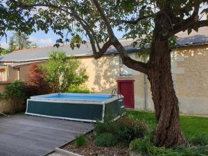 una piscina in un cortile accanto a una casa di La Louisiane a Cour-Cheverny