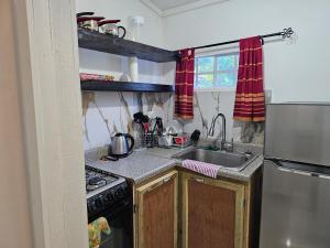 Η κουζίνα ή μικρή κουζίνα στο Roots Cafe Rooms