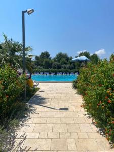 Bazén v ubytování Camping Cala dei Ginepri nebo v jeho okolí