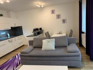 Kuchyň nebo kuchyňský kout v ubytování Apartmán s vyhlídkou