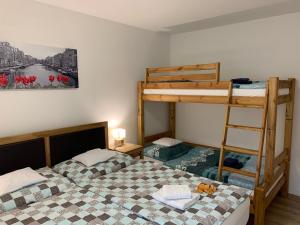 sypialnia z 2 łóżkami piętrowymi i drabiną w obiekcie Apartmán s vyhlídkou w mieście Horní Maršov