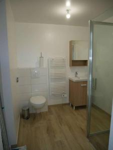 a bathroom with a toilet and a sink at Studio lumineux avec terrasse in La Roche-sur-Yon