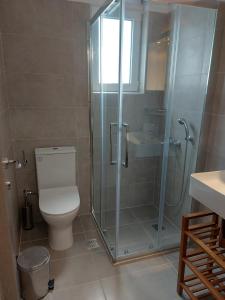 a bathroom with a toilet and a glass shower at Athinais Karystos in Karistos +63 photos