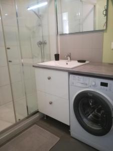 a bathroom with a washing machine and a sink at Jadis, l'école de Maisy, port et plage au bout de l'avenue in Grandcamp-Maisy