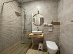 y baño con aseo, lavabo y espejo. en «ГОРИ́ЩЕ на площі Польський ринок», en Kamianets-Podilskyi