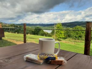 a coffee cup sitting on a wooden table with a view at Przystanek Jawory in Wołkowyja