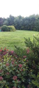 Dārzs pie naktsmītnes Butterfly Guesthouse - Entire Home within 5km of Galway City