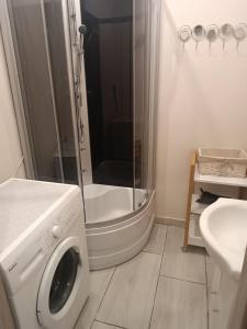 y baño con lavadora y ducha. en Apartament Stara Piekarnia, en Tychy
