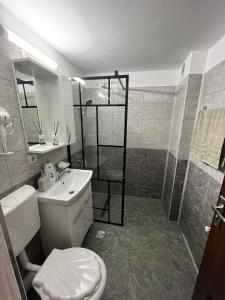 La salle de bains est pourvue d'une douche, de toilettes et d'un lavabo. dans l'établissement Apartament o camera Radoi, à Drobeta-Turnu Severin