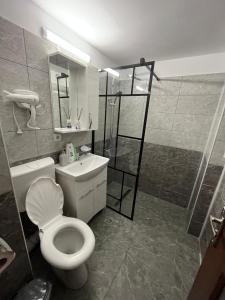 La salle de bains est pourvue de toilettes, d'une douche et d'un lavabo. dans l'établissement Apartament o camera Radoi, à Drobeta-Turnu Severin