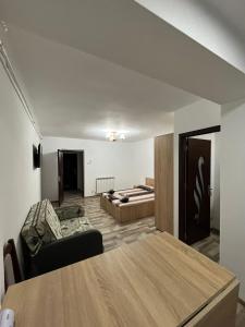 - un salon avec un canapé et un lit dans l'établissement Apartament o camera Radoi, à Drobeta-Turnu Severin