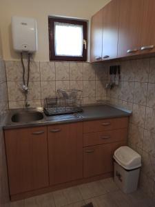 eine kleine Küche mit einem Waschbecken und einem WC in der Unterkunft Kuća za odmor Vidikovac in Bajina Bašta
