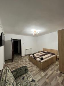 Cette chambre comprend 2 lits et un canapé. dans l'établissement Apartament o camera Radoi, à Drobeta-Turnu Severin