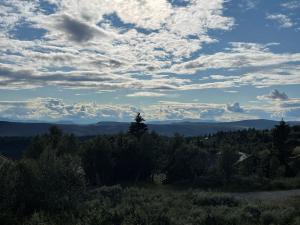 Paesaggio naturale nelle vicinanze della casa vacanze
