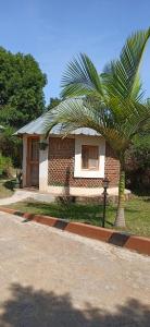 a small house with a palm tree in front of it at Plastic Bottles House in Entebbe