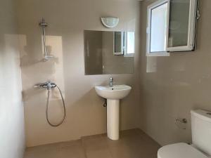 een badkamer met een wastafel, een douche en een toilet bij Foto Studios in Himare
