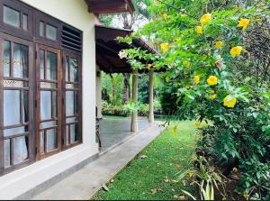 a porch of a house with a tree with yellow flowers at Doranagala Holiday Home in Matale