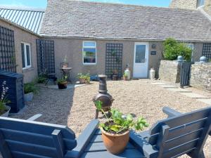 une terrasse avec deux bancs bleus et une maison dans l'établissement Orkney Retreats 1 2 and 3 bedroom Island Farmhouses & Cottages, à Sanday