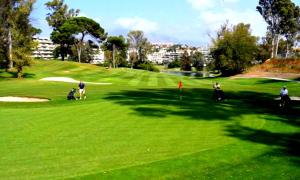 a group of people playing golf on a golf course at Apartamento en Marbella junto a campos de golf in Marbella