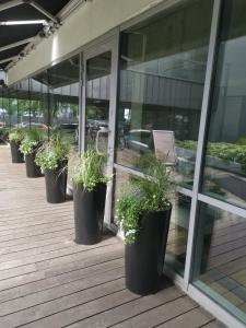 Fotografia z galérie ubytovania 317 w ROYAL TULI SAND prywatny APARTAMENT przy plaży z aneksem kuchennym v destinácii Kołobrzeg