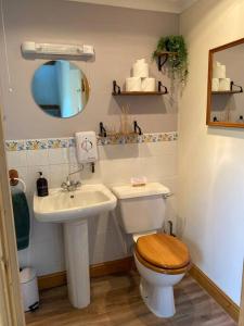 a bathroom with a toilet and a sink at The Nook at Tatchbury House, New Forest in Ower