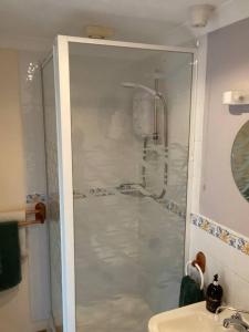 a bathroom with a shower and a sink at The Nook at Tatchbury House, New Forest in Ower