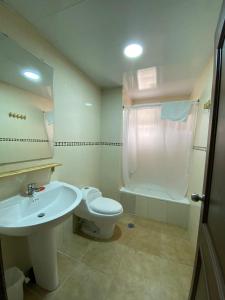 een badkamer met een wastafel, een toilet en een douche bij Bavaro Green in Punta Cana